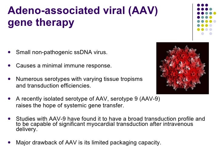 Towards Gene Therapy For Duchenne Muscular Dystrophy Heart Disease