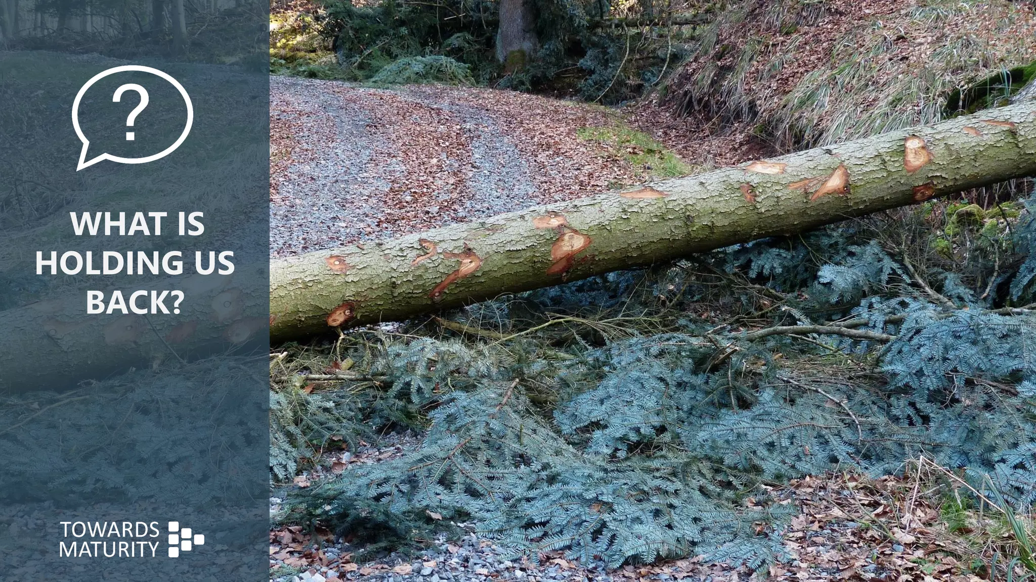 WHAT IS
HOLDING US
BACK?
 