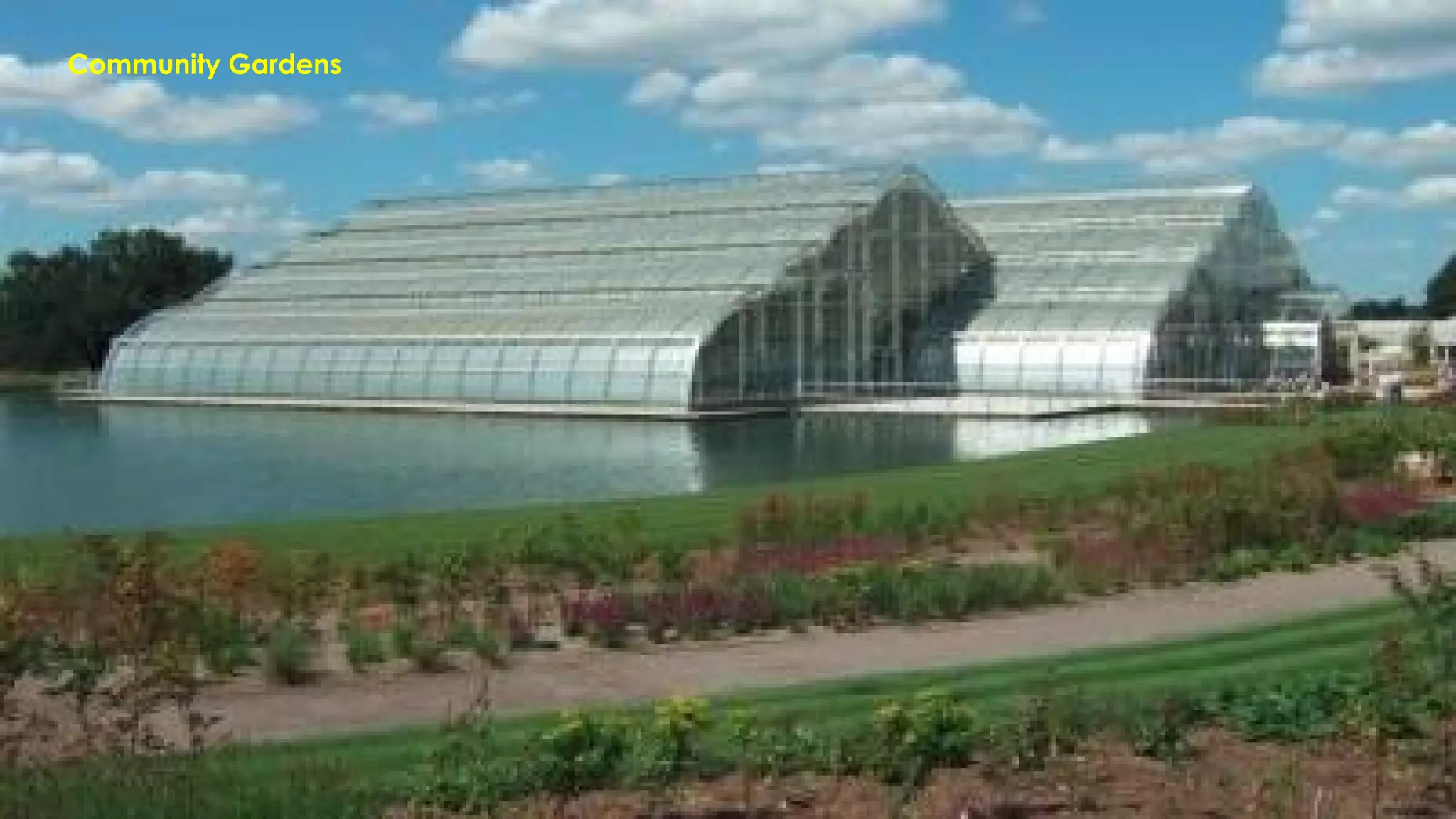 Community Gardens
 