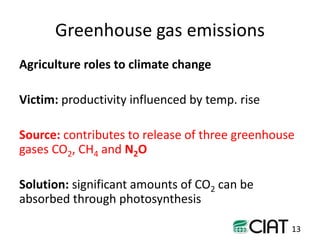Towards smarter agricultural systems: past, present and envisaged future soils research