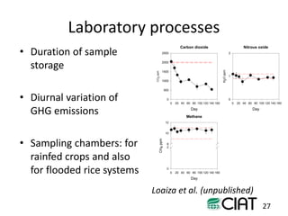 Towards smarter agricultural systems: past, present and envisaged future soils research