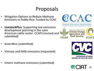 Towards smarter agricultural systems: past, present and envisaged future soils research