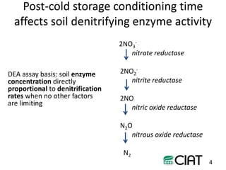 Towards smarter agricultural systems: past, present and envisaged future soils research