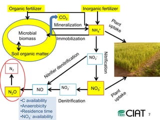 Towards smarter agricultural systems: past, present and envisaged future soils research