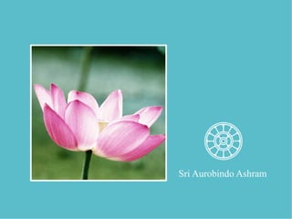 Sri Aurobindo Ashram
 