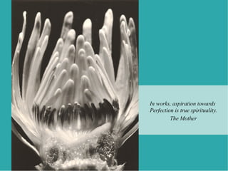 In works, aspiration towards
Perfection is true spirituality.
         The Mother
 