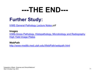 Webpath Pdf Basic Medical Sciences Foundation of Clinical Medicine | PDF