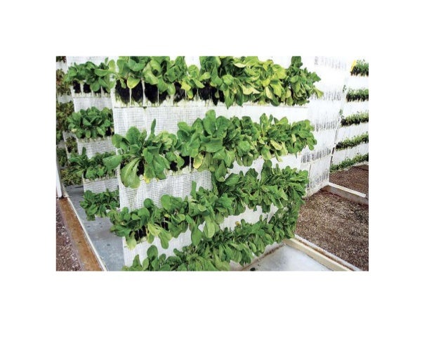 Tower Garden Presentation
