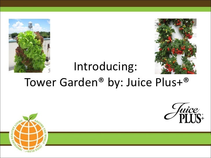 Tower Garden Presentation Generric Ending V2