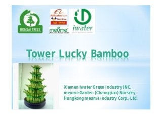 Tower Lucky Bamboo
Xiamen iwater Green Industry INC.
meume Garden (Changqiao) Nursery
Hongkong meume Industry Corp., Ltd.
 