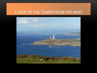 A VIEW OF THE TOWER FROM FAR AWAY
 