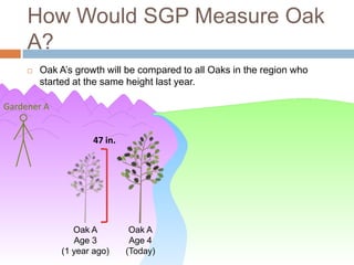 How Would SGP Measure Oak
     A?
        Oak A’s growth will be compared to all Oaks in the region who
         started at the same height last year.

Gardener A


                     47 in.




                Oak A          Oak A
                Age 3          Age 4
             (1 year ago)     (Today)
 