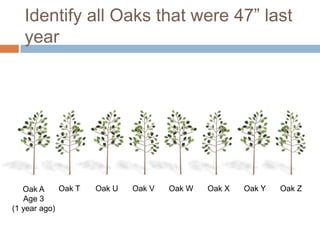 Identify all Oaks that were 47” last
   year




   Oak A     Oak T   Oak U   Oak V   Oak W   Oak X   Oak Y   Oak Z
   Age 3
(1 year ago)
 