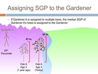 Assigning SGP to the Gardener
        If Gardener A is assigned to multiple trees, the median SGP of
         Gardener A’s trees is assigned to the Gardener.

Gardener A
                                    61 in.
                     47 in.



  25th
Percentile



                 Oak A         Oak A
                 Age 3         Age 4
              (1 year ago)    (Today)
 