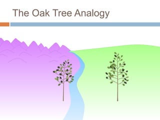 The Oak Tree Analogy
 