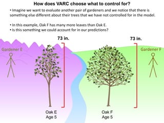 How does VARC choose what to control for?
   • Imagine we want to evaluate another pair of gardeners and we notice that there is
   something else different about their trees that we have not controlled for in the model.

   • In this example, Oak F has many more leaves than Oak E.
   • Is this something we could account for in our predictions?

                                73 in.                                     73 in.

Gardener E                                                                        Gardener F




                        Oak E                             Oak F
                        Age 5                             Age 5
 