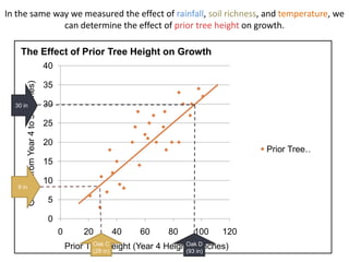 In the same way we measured the effect of rainfall, soil richness, and temperature, we
              can determine the effect of prior tree height on growth.

    The Effect of Prior Tree Height on Growth
                                             40
          Growth from Year 4 to 5 (inches)




                                             35

  30 in                                      30

                                             25

                                             20
                                                                                                       Prior Tree…
                                             15

                                             10
   9 in

                                             5

                                             0
                                                  0        20      40     60      80     100     120
                                                              Oak C                   Oak D
                                                      Prior Treein)
                                                              (28
                                                                  Height (Year 4 Height inin)
                                                                                      (93
                                                                                            Inches)
 