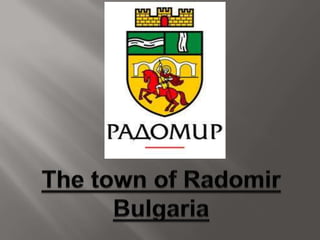 Town of radomir