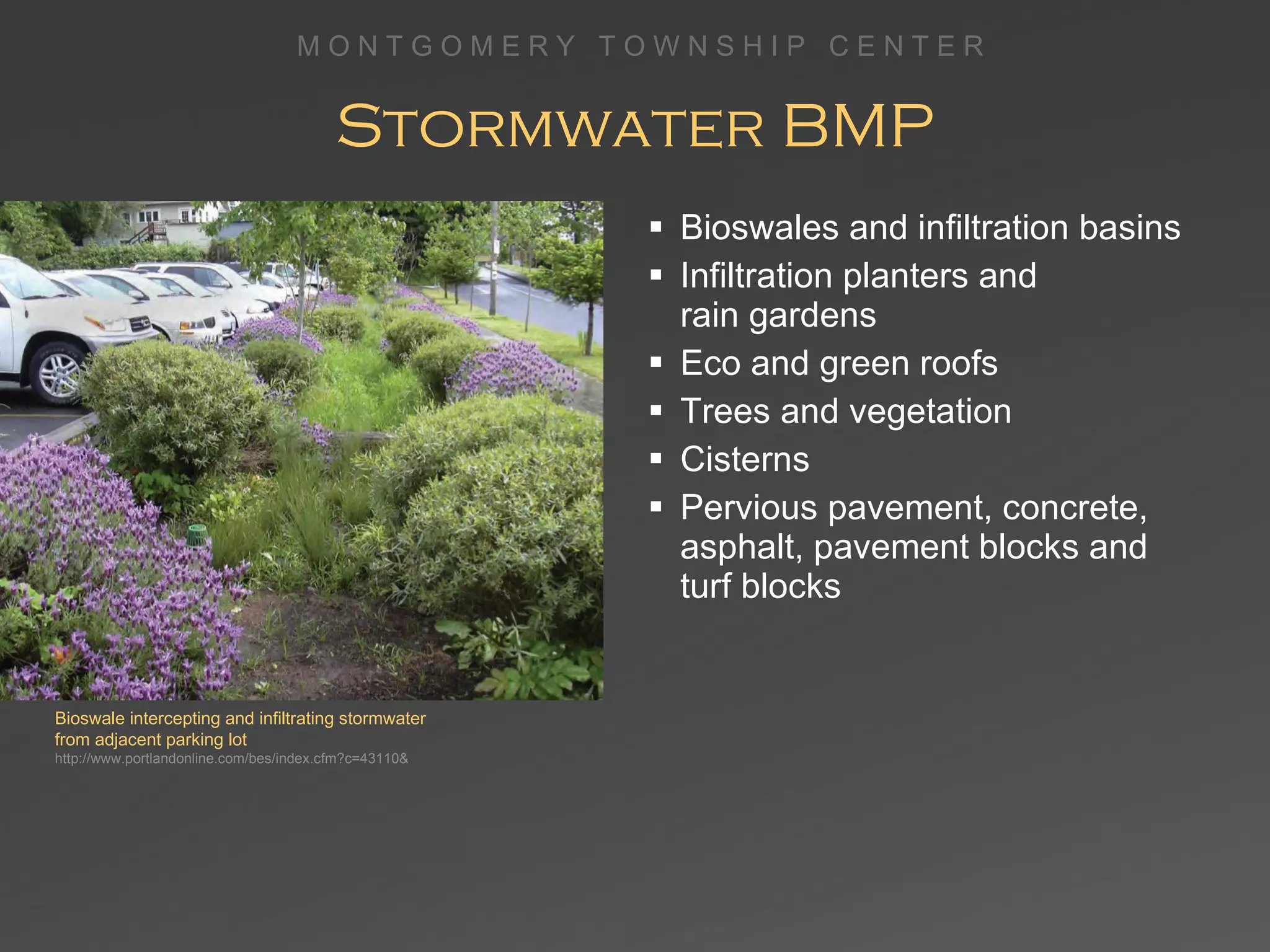Stormwater BMP Bioswales and infiltration basins Infiltration planters and  rain gardens Eco and green roofs Trees and vegetation Cisterns Pervious pavement, concrete, asphalt, pavement blocks and turf blocks Bioswale intercepting and infiltrating stormwater from adjacent parking lot http://www.portlandonline.com/bes/index.cfm?c=43110&  
