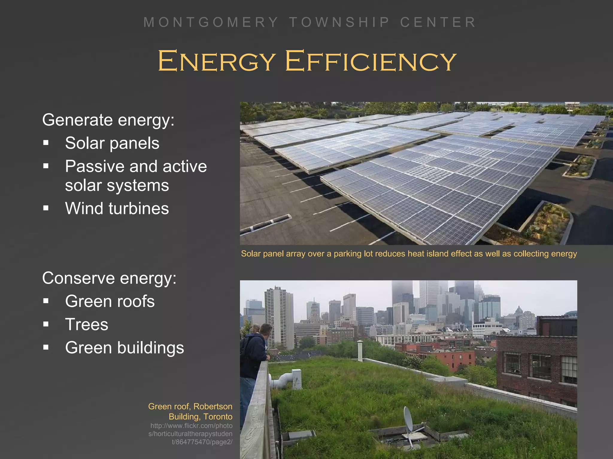 Energy Efficiency Generate energy: Solar panels Passive and active solar systems Wind turbines Conserve energy: Green roofs Trees  Green buildings Solar panel array over a parking lot reduces heat island effect as well as collecting energy Green roof, Robertson Building, Toronto http://www.flickr.com/photos/horticulturaltherapystudent/864775470/page2/ 