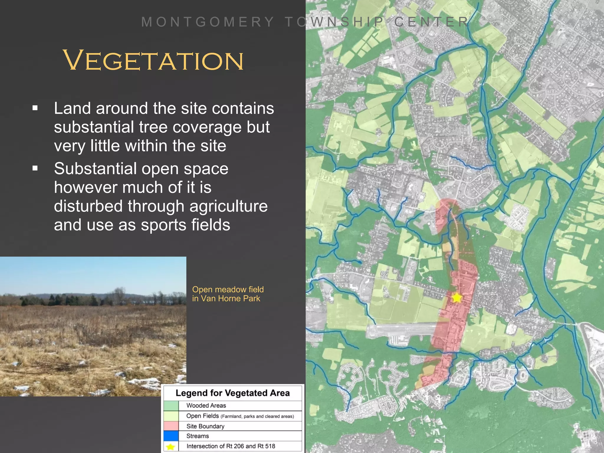 Vegetation Land around the site contains substantial tree coverage but very little within the site Substantial open space however much of it is disturbed through agriculture and use as sports fields M O N T G O M E R Y  T O W N S H I P  C E N T E R Open meadow field in Van Horne Park 