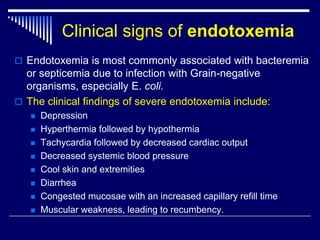 Toxemia and endotoxemia