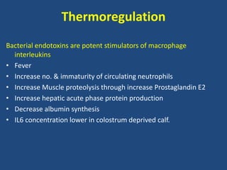 Thermoregulation
Bacterial endotoxins are potent stimulators of macrophage
interleukins
• Fever
• Increase no. & immaturity of circulating neutrophils
• Increase Muscle proteolysis through increase Prostaglandin E2
• Increase hepatic acute phase protein production
• Decrease albumin synthesis
• IL6 concentration lower in colostrum deprived calf.
 
