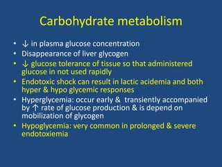 Carbohydrate metabolism
• ↓ in plasma glucose concentration
• Disappearance of liver glycogen
• ↓ glucose tolerance of tissue so that administered
glucose in not used rapidly
• Endotoxic shock can result in lactic acidemia and both
hyper & hypo glycemic responses
• Hyperglycemia: occur early & transiently accompanied
by ↑ rate of glucose production & is depend on
mobilization of glycogen
• Hypoglycemia: very common in prolonged & severe
endotoxiemia
 
