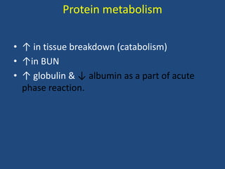 Protein metabolism
• ↑ in tissue breakdown (catabolism)
• ↑in BUN
• ↑ globulin & ↓ albumin as a part of acute
phase reaction.
 