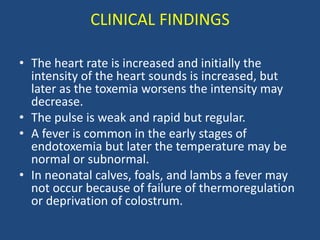 CLINICAL FINDINGS
• The heart rate is increased and initially the
intensity of the heart sounds is increased, but
later as the toxemia worsens the intensity may
decrease.
• The pulse is weak and rapid but regular.
• A fever is common in the early stages of
endotoxemia but later the temperature may be
normal or subnormal.
• In neonatal calves, foals, and lambs a fever may
not occur because of failure of thermoregulation
or deprivation of colostrum.
 