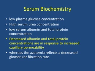 Serum Biochemistry
• low plasma glucose concentration
• High serum urea concentration
• low serum albumin and total protein
concentration
• Decreased albumin and total protein
concentrations are in response to increased
capillary permeability
• whereas the azotemia reflects a decreased
glomerular filtration rate.
 