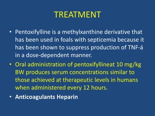 TREATMENT
• Pentoxifylline is a methylxanthine derivative that
has been used in foals with septicemia because it
has been shown to suppress production of TNF-á
in a dose-dependent manner.
• Oral administration of pentoxifyllineat 10 mg/kg
BW produces serum concentrations similar to
those achieved at therapeutic levels in humans
when administered every 12 hours.
• Anticoagulants Heparin
 
