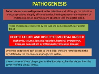 PATHOGENESIS
Endotoxins are normally present in the intestine and, although the intestinal
mucosa provides a highly efficient barrier, limiting transmural movement of
endotoxins, small quantities are absorbed into the portal blood.
These endotoxins are removed by the liver and do not reach the peripheral
blood
HEPATIC FAILURE AND DISRUPTED MUCOSAL BARRIER
(Ischemia, trauma, ionizing radiation, bacterial overgrowth,
Decrease ruminal pH, or inflammatory intestine disease)
Once the endotoxins gain access to the blood, they are removed from the
circulation by the mononuclear phagocyte system,
the response of these phagocytes to the lipopolysaccharides determines the
severity of the clinical illness.
 