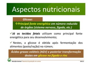 Aspectos nutricionais
Glicose:
Principal fonte energética em número reduzido
de órgãos (sistema nervoso, fígado, etc.)
Já os tecidos fetais utilizam como principal fonte
energética para seu desenvolvimento;
Nestes, a glicose é obtida após fermentação dos
alimentos (pasto/ração) no rúmen;
Ácidos graxos voláteis (AGV) e posterior transformação
destes em glicose no fígado e rins
Nutrição Animal: Toxemia da gestação em ovinos

EA111

 