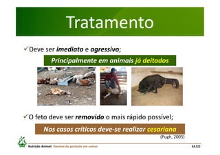 Tratamento
Deve ser imediato e agressivo;
Principalmente em animais já deitados

O feto deve ser removido o mais rápido possível;
Nos casos críticos deve-se realizar cesariana
(Pugh, 2005)
Nutrição Animal: Toxemia da gestação em ovinos

EA111

 