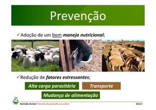 Prevenção
Adoção de um bom manejo nutricional;

Redução de fatores estressantes;
Alta carga parasitária

Transporte

Mudança de alimentação
Nutrição Animal: Toxemia da gestação em ovinos

EA111

 