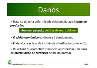 Danos
Trata-se de uma enfermidade relacionada ao sistema de
produção;
Provoca elevados índices de mortalidade
O efeito econômico da doença é considerável;
Pode alcançar taxa de incidência classificada como surto;
Os rebanhos acometidos também apresentam uma taxa
de mortalidade de cordeiros acima do normal.

Nutrição Animal: Toxemia da gestação em ovinos

EA111

 
