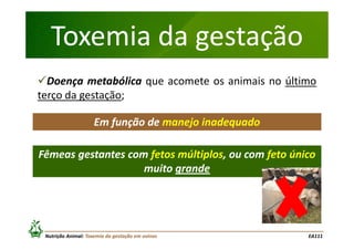Toxemia da gestação
Doença metabólica que acomete os animais no último
terço da gestação;
Em função de manejo inadequado
Fêmeas gestantes com fetos múltiplos, ou com feto único
muito grande

Nutrição Animal: Toxemia da gestação em ovinos

EA111

 