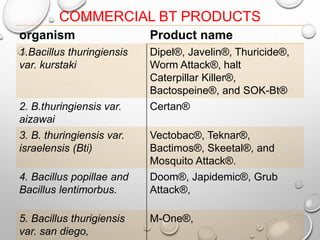 COMMERCIAL BT PRODUCTS
organism Product name
1.Bacillus thuringiensis
var. kurstaki
Dipel®, Javelin®, Thuricide®,
Worm Attack®, halt
Caterpillar Killer®,
Bactospeine®, and SOK-Bt®
2. B.thuringiensis var.
aizawai
Certan®
3. B. thuringiensis var.
israelensis (Bti)
Vectobac®, Teknar®,
Bactimos®, Skeetal®, and
Mosquito Attack®.
4. Bacillus popillae and
Bacillus lentimorbus.
Doom®, Japidemic®, Grub
Attack®,
5. Bacillus thurigiensis
var. san diego,
M-One®,
 