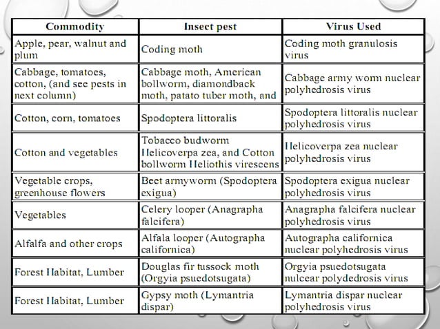 microbial insecticides | PPTX