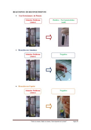 REACCIONES DE RECONOCIMIENTO 
 Con Ferrocianuro de Potasio 
Solución Problema 
(Antes) 
Positivo – No Característico 
(azul) 
 Reacción con Amoniaco 
Solución Problema 
(Antes) 
Negativo 
 Reacción con Cuprón 
Solución Problema 
(Antes) 
Negativo 
“Todo es veneno, Nada es veneno, Todo depende de la dosis“ Página 6 
 