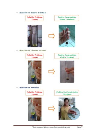  Reacción con Yoduro de Potasio 
Solución Problema 
(Antes) 
Positivo Característico 
(Pardo - Verdoso) 
 Reacción con Cianuros Alcalinos 
Solución Problema 
(Antes) 
Positivo Característico 
(Café - Verdoso) 
 Reacción con Amoniaco 
Solución Problema 
(Antes) 
Positivo No Característico 
(Pegajoso) 
“Todo es veneno, Nada es veneno, Todo depende de la dosis“ Página 7 
 
