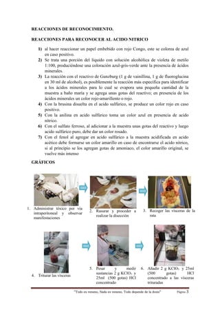 “Todo es veneno, Nada es veneno, Todo depende de la dosis“ Página 3
REACCIONES DE RECONOCIMIENTO.
REACCIONES PARA RECONOCER AL ACIDO NITRICO
1) al hacer reaccionar un papel embebido con rojo Congo, este se colorea de azul
en caso positivo.
2) Se trata una porción del líquido con solución alcohólica de violeta de metilo
1:100, produciéndose una coloración azul-gris-verde ante la presencia de ácidos
minerales.
3) La reacción con el reactivo de Gunzburg (1 g de vainillina, 1 g de fluoroglucina
en 30 ml de alcohol), es posiblemente la reacción más específica para identificar
a los ácidos minerales para lo cual se evapora una pequeña cantidad de la
muestra a baño maría y se agrega unas gotas del reactivo; en presencia de los
ácidos minerales un color rojo-amarillento o rojo.
4) Con la brusina disuelta en el acido sulfúrico, se produce un color rojo en caso
positivo.
5) Con la anilina en acido sulfúrico toma un color azul en presencia de acido
nítrico.
6) Con el sulfato ferroso, al adicionar a la muestra unas gotas del reactivo y luego
acido sulfúrico puro, debe dar un color rosado.
7) Con el fenol al agregar en acido sulfúrico a la muestra acidificada en acido
acético debe formarse un color amarillo en caso de encontrarse el acido nítrico,
si al principio se los agregan gotas de amoniaco, el color amarillo original, se
vuelve más intenso
GRÁFICOS
1. Administrar tóxico por vía
intraperitoneal y observar
manifestaciones
2. Rasurar y proceder a
realizar la disección
3. Recoger las vísceras de la
rata
4. Triturar las vísceras
5. Pesar y medir
sustancias 2 g KClO3 y
25ml (500 gotas) HCl
concentrado
6. Añadir 2 g KClO3 y 25ml
(500 gotas) HCl
concentrado a las vísceras
trituradas
 