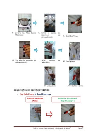 “Todo es veneno, Nada es veneno, Todo depende de la dosis“ Página 4
7. Llevar a baño María durante
30 minutos
8. Filtrar y realizar las
reacciones de
reconocimiento
9. Con Rojo Congo
10. Con solución alcohólica de
violeta de metilo
11. Con reactivo de
Gunzburg
12. Con Brusina
13. Con Anilina 14. Con Sulfato Ferroso
REACCIONES DE RECONOCIMIENTO
 Con Rojo Congo  Papel Ennegrece
Solución Problema
(Antes)
Positivo Característico
(Papel Ennegrce)
 