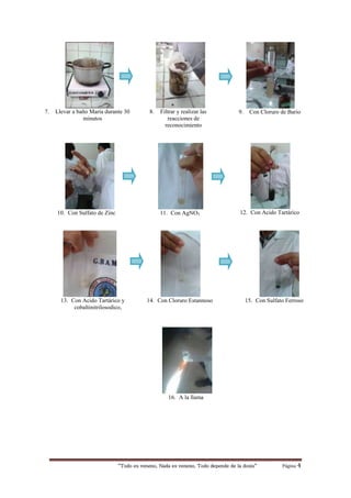 “Todo es veneno, Nada es veneno, Todo depende de la dosis“ Página 4
7. Llevar a baño María durante 30
minutos
8. Filtrar y realizar las
reacciones de
reconocimiento
9. Con Cloruro de Bario
10. Con Sulfato de Zinc 11. Con AgNO3 12. Con Acido Tartárico
13. Con Acido Tartárico y
cobaltinitrilosodico,
14. Con Cloruro Estannoso 15. Con Sulfato Ferroso
16. A la llama
 