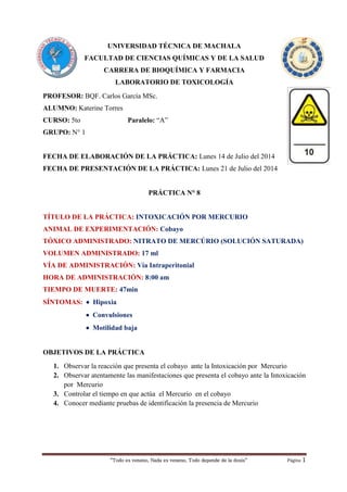 “Todo es veneno, Nada es veneno, Todo depende de la dosis“ Página 1
UNIVERSIDAD TÉCNICA DE MACHALA
FACULTAD DE CIENCIAS QUÍMICAS Y DE LA SALUD
CARRERA DE BIOQUÍMICA Y FARMACIA
LABORATORIO DE TOXICOLOGÍA
PROFESOR: BQF. Carlos García MSc.
ALUMNO: Katerine Torres
CURSO: 5to Paralelo: “A”
GRUPO: N° 1
FECHA DE ELABORACIÓN DE LA PRÁCTICA: Lunes 14 de Julio del 2014
FECHA DE PRESENTACIÓN DE LA PRÁCTICA: Lunes 21 de Julio del 2014
PRÁCTICA N° 8
TÍTULO DE LA PRÁCTICA: INTOXICACIÓN POR MERCURIO
ANIMAL DE EXPERIMENTACIÓN: Cobayo
TÓXICO ADMINISTRADO: NITRATO DE MERCÚRIO (SOLUCIÓN SATURADA)
VOLUMEN ADMINISTRADO: 17 ml
VÍA DE ADMINISTRACIÓN: Vía Intraperitonial
HORA DE ADMINISTRACIÓN: 8:00 am
TIEMPO DE MUERTE: 47min
SÍNTOMAS:  Hipoxia
 Convulsiones
 Motilidad baja
OBJETIVOS DE LA PRÁCTICA
1. Observar la reacción que presenta el cobayo ante la Intoxicación por Mercurio
2. Observar atentamente las manifestaciones que presenta el cobayo ante la Intoxicación
por Mercurio
3. Controlar el tiempo en que actúa el Mercurio en el cobayo
4. Conocer mediante pruebas de identificación la presencia de Mercurio
 