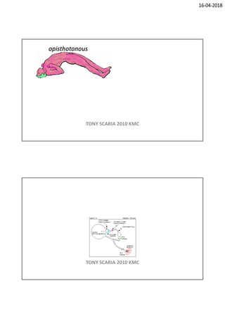 16-04-2018
TONY SCARIA 2010 KMC
TONY SCARIA 2010 KMC
 