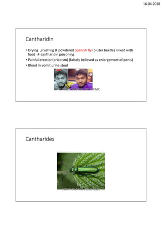16-04-2018
Cantharidin
• Drying ,crushing & powdered Spanish fly (blister beetle) mixed with
food  cantharidin poisoning
• Painful erection(priapism) (falsely believed as enlargement of penis)
• Blood in vomit urine stool
TONY SCARIA 2010 KMC
Cantharides
TONY SCARIA 2010 KMC
 