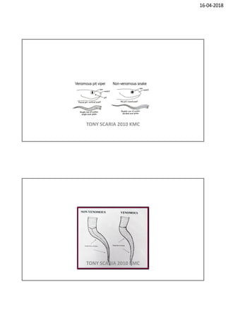 16-04-2018
TONY SCARIA 2010 KMC
TONY SCARIA 2010 KMC
 