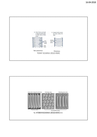 16-04-2018
Non poisonous Poisonous
TONY SCARIA 2010 KMC
TONY SCARIA 2010 KMC
 